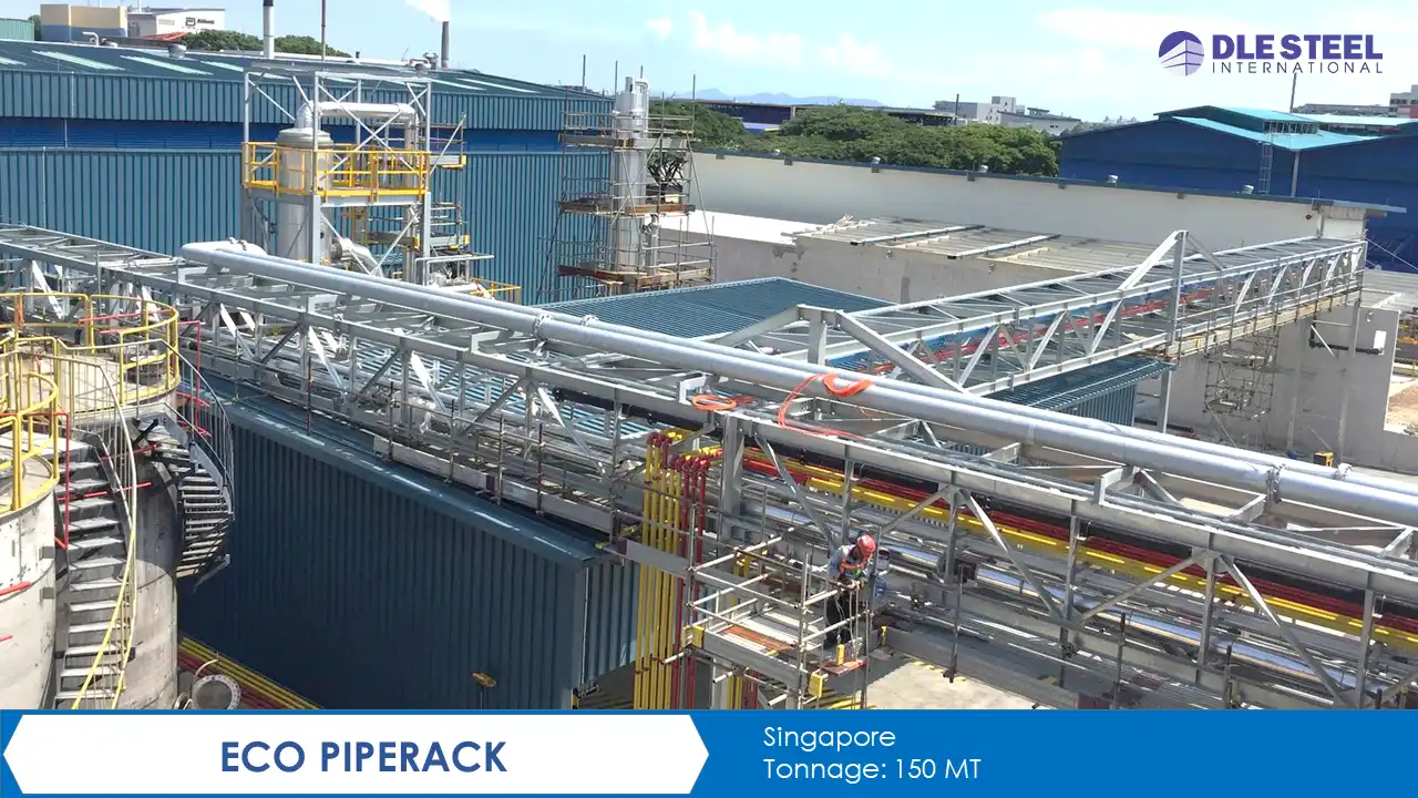 Eco-piperack-1